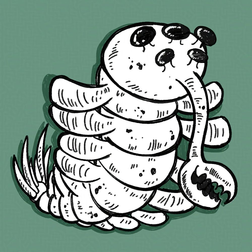 sketch of an opabinia on a light green background, a cambrian invertebrate with a long snout with a chompy mouth at the end, 5 bulbous eyes on stalks, a worm like body with two flippers on each sides, and some spikes on the tail. 