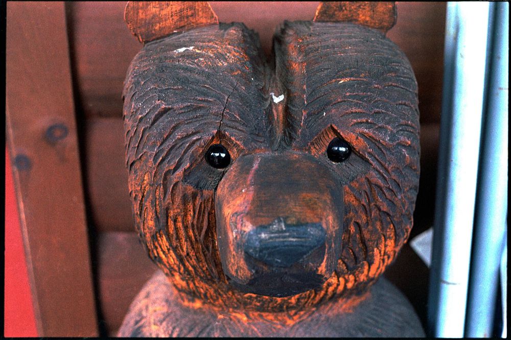 The head of a wooden carved bear.
