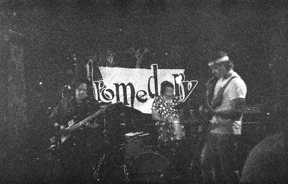 A middle aged woman plays a guitar stage left with two guys who look like 1970s porn stars, mustaches and all, play bass and drums in front of a sign that reads “Dromedary”.