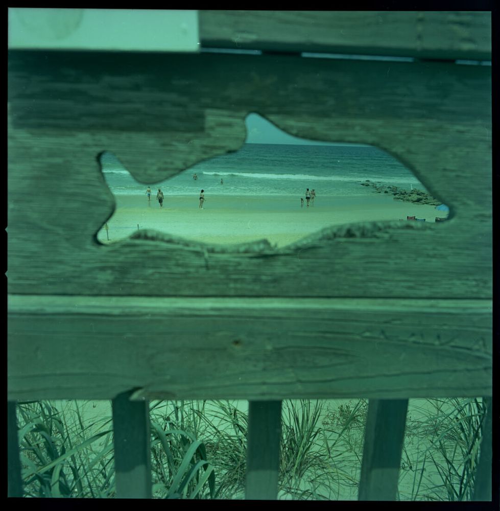 A wooden railing has a cutout in the shape of a dolphin in it. Through the cutout you can see the beach with several people standing on the beach and in the water.