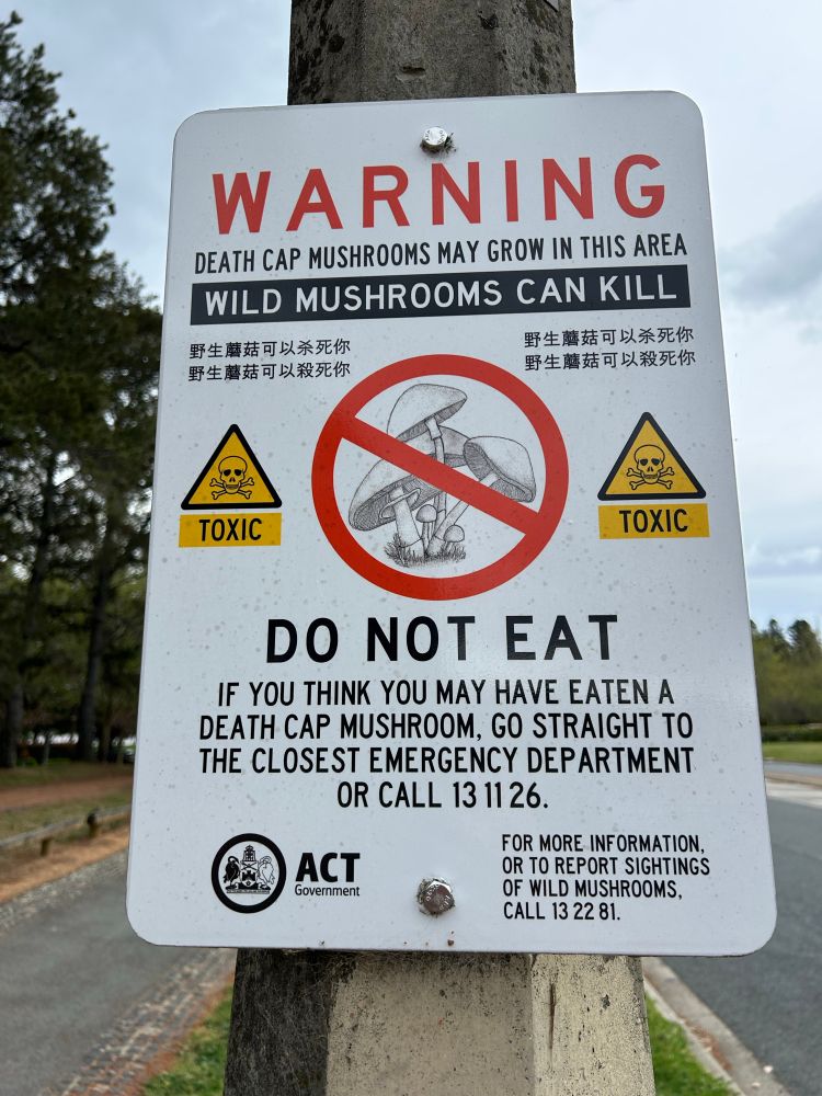 Do not eT death cap mushrooms sign.