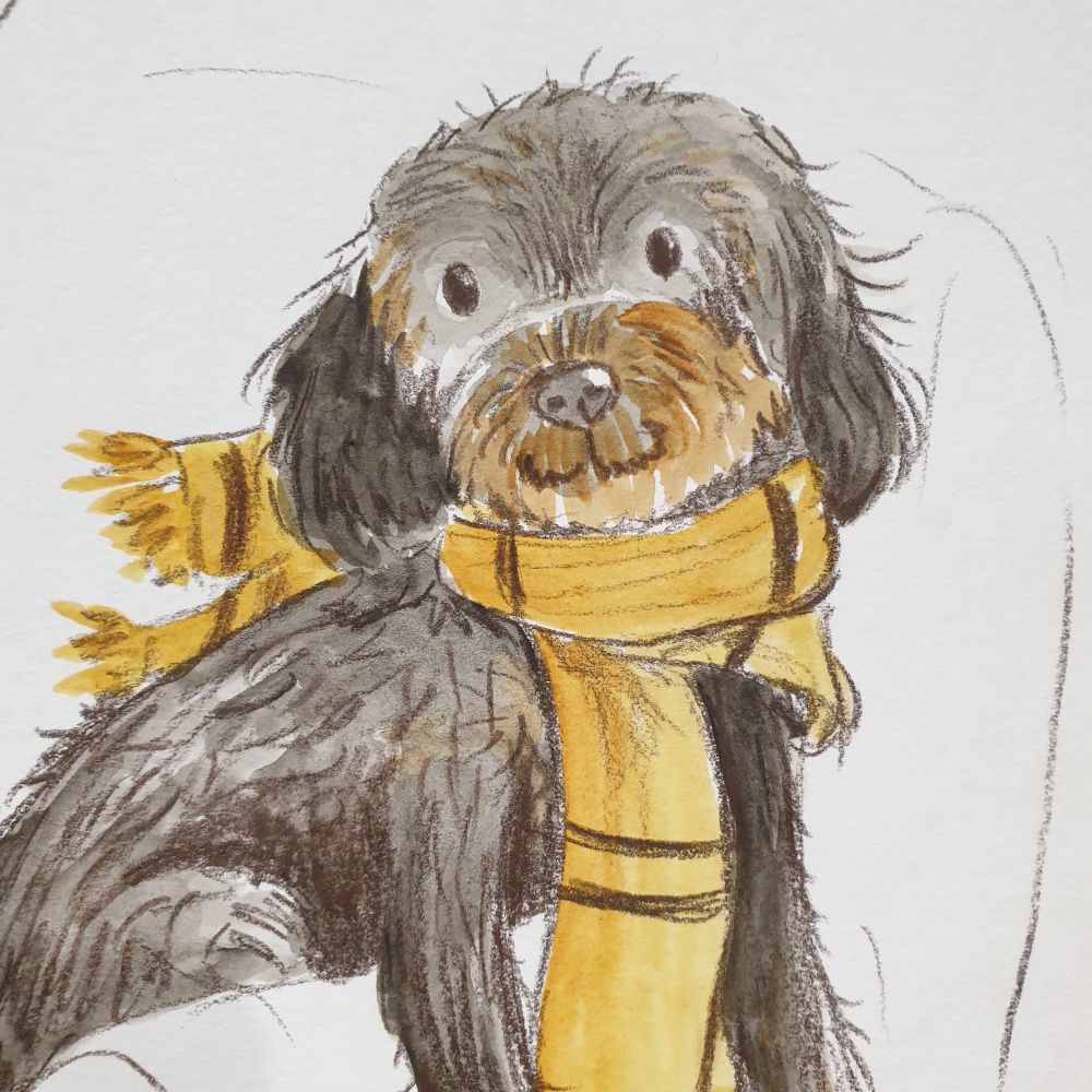 Water colour and pencil illustration of a black fluffy dog with a brown mouth sitting on an armchair wearing a yellow scarf.