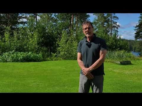 TAPPISILMÄISET HYÖKKÄÄVÄT
