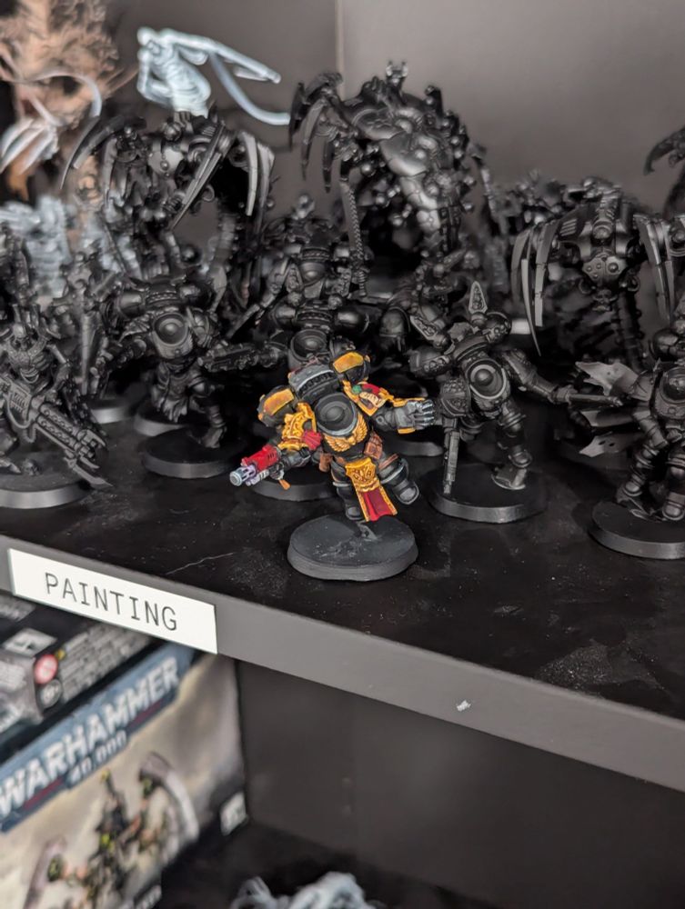Front view of a Blood Angels death company jump intercessor, painted with non metallic metal gold
