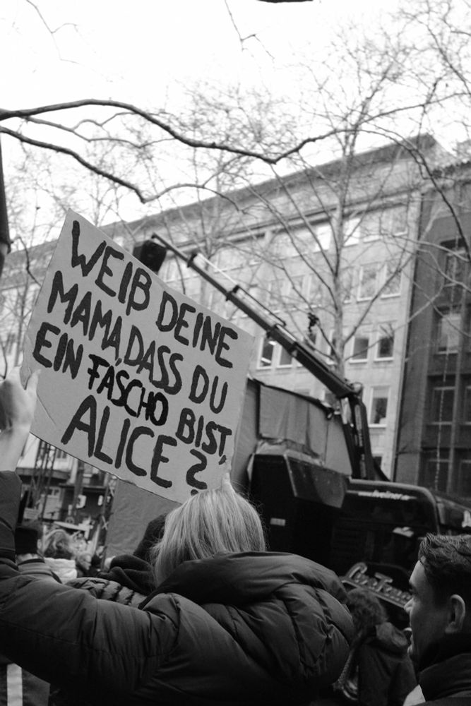 Demo Plakat über die fuck AfD 