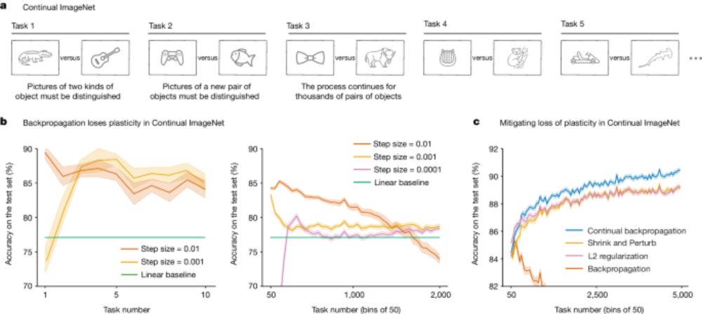 Loss of plasticity in deep continual learning - Nature