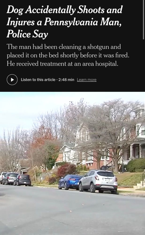 A news headline on a dark background reads “Dog Accidentally Shoots and Injures a Pennsylvania Man, Police Say.” Below it is a short summary about the man cleaning a shotgun before it fired. Under the text is a suburban street in winter with bare trees and a row of brick houses. Several cars are parked along the road and the sky looks pale and overcast.