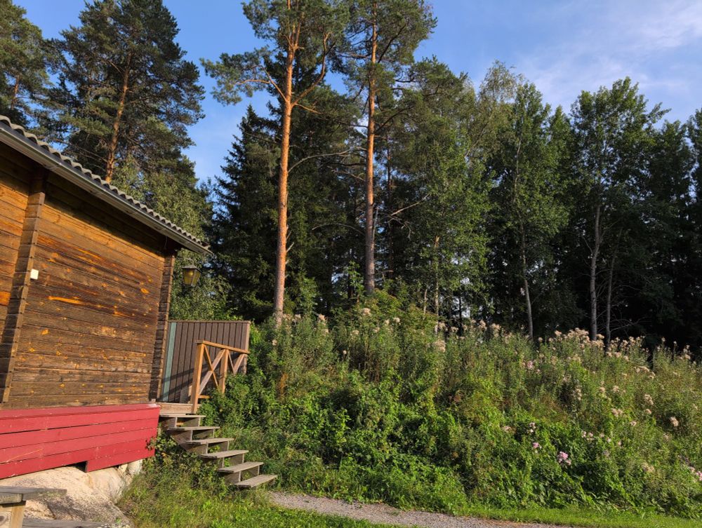 Swedish hut we stayed in! 