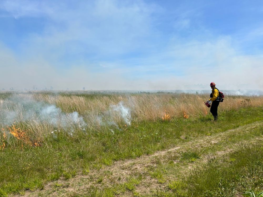 Ignitions along firebreak in grasslands