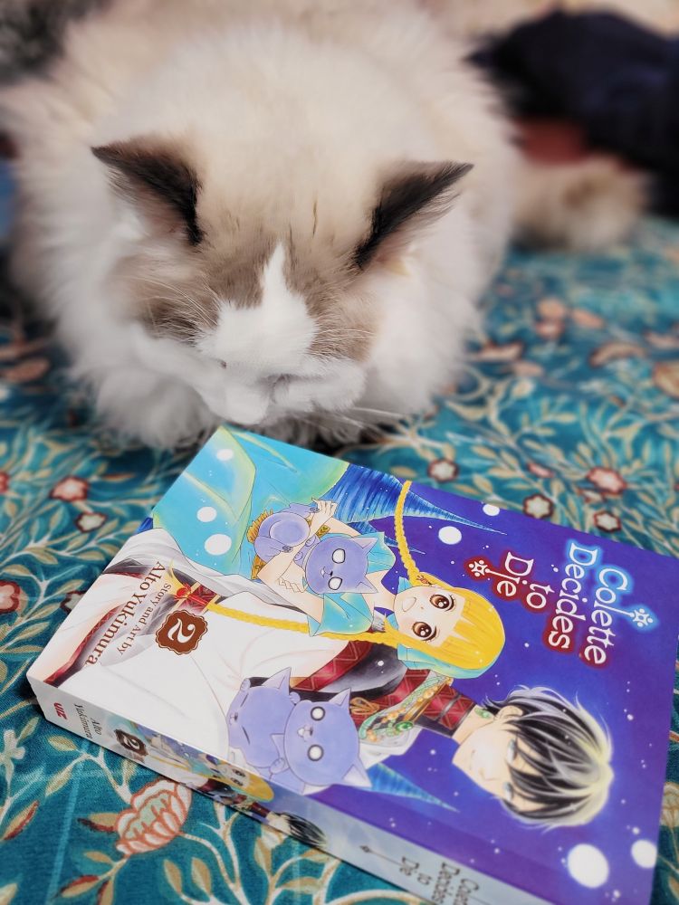 Ragdoll kitten looking down at a copy of Colette Decides to Die volume 2