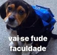 Cachorrinho de mochilinha azul nas costas dizendo "vai se fude faculdade"