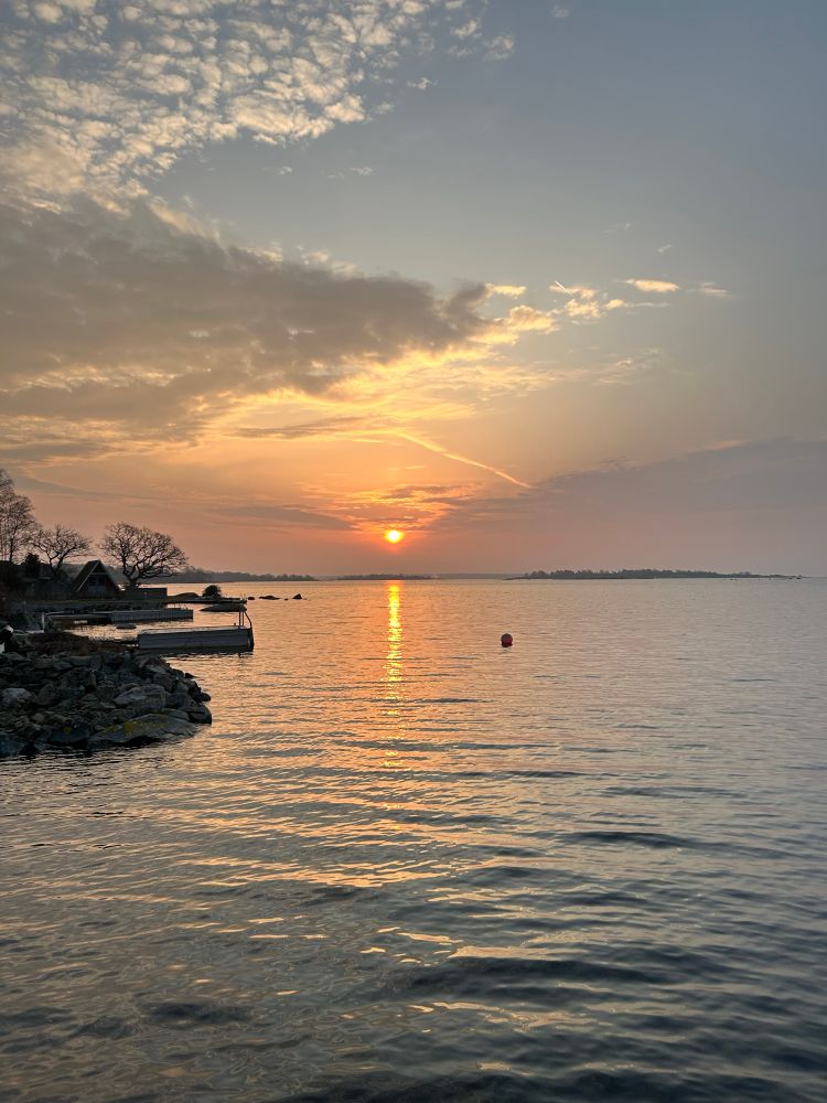 Denna på morgonpromenaden innan dagens alla möten 👌