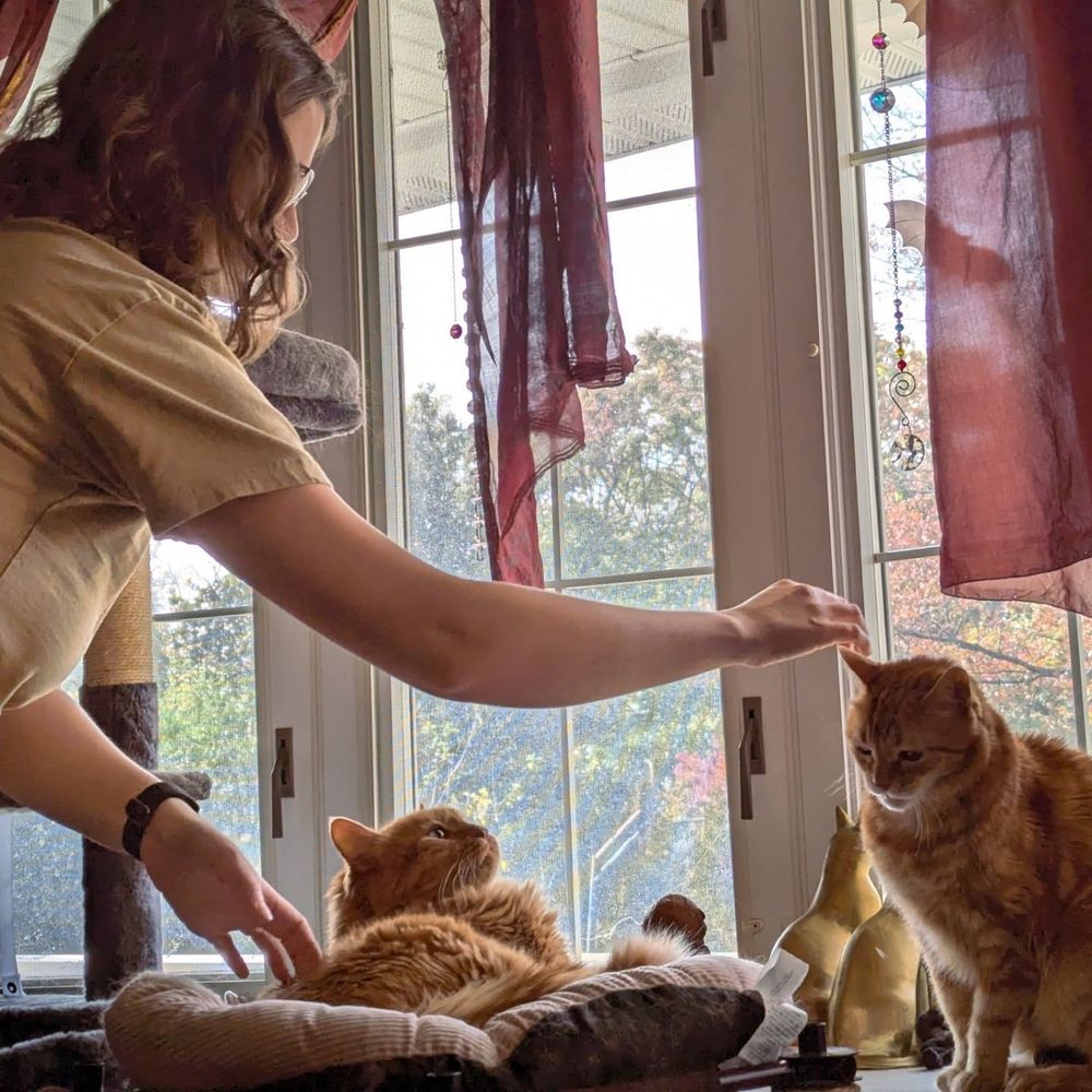 Ninja gets a lecture in not being mean