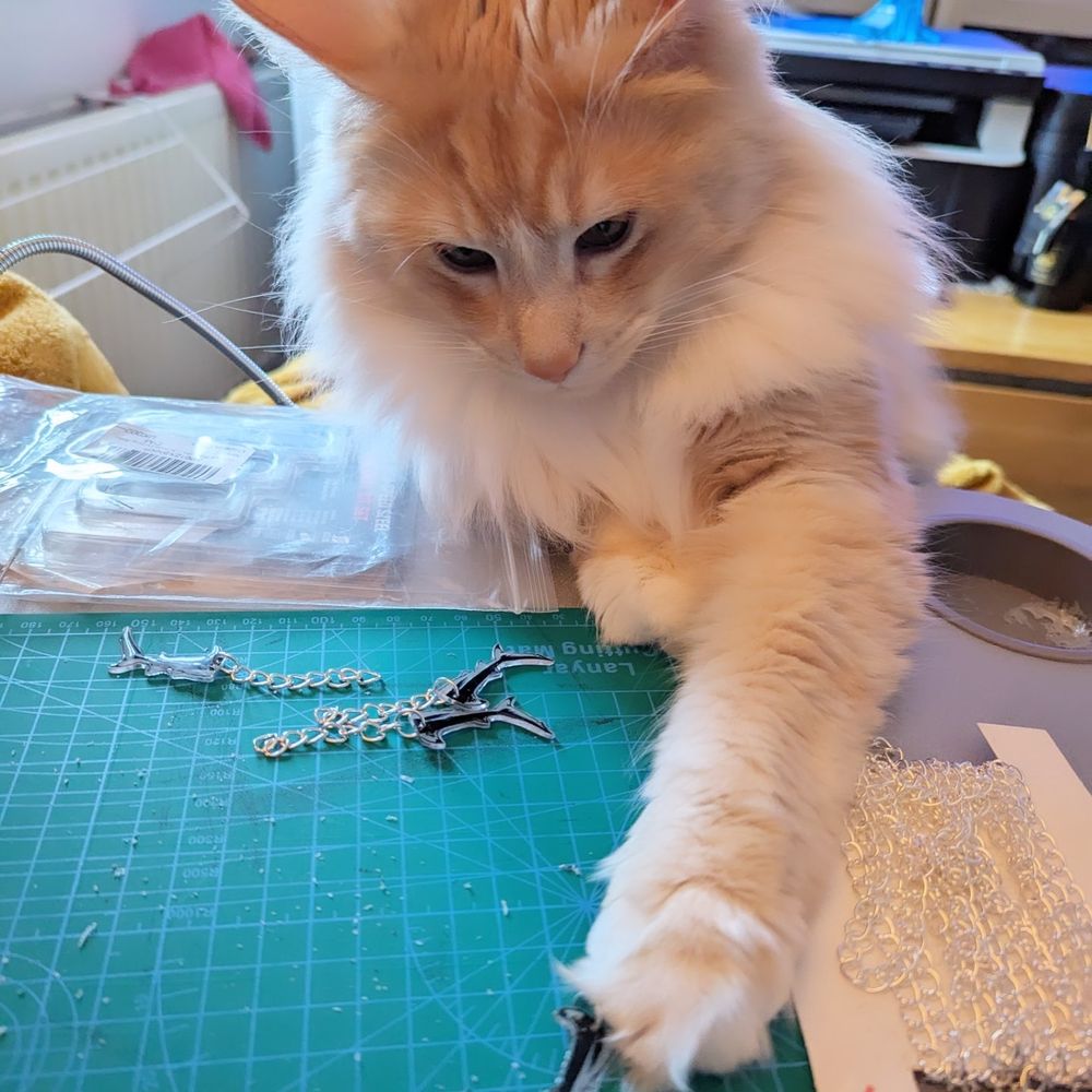 Orion the cat making a keyring