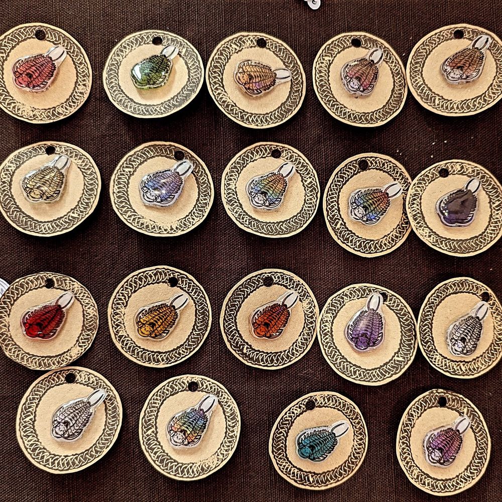 An army of trilobites in many colours