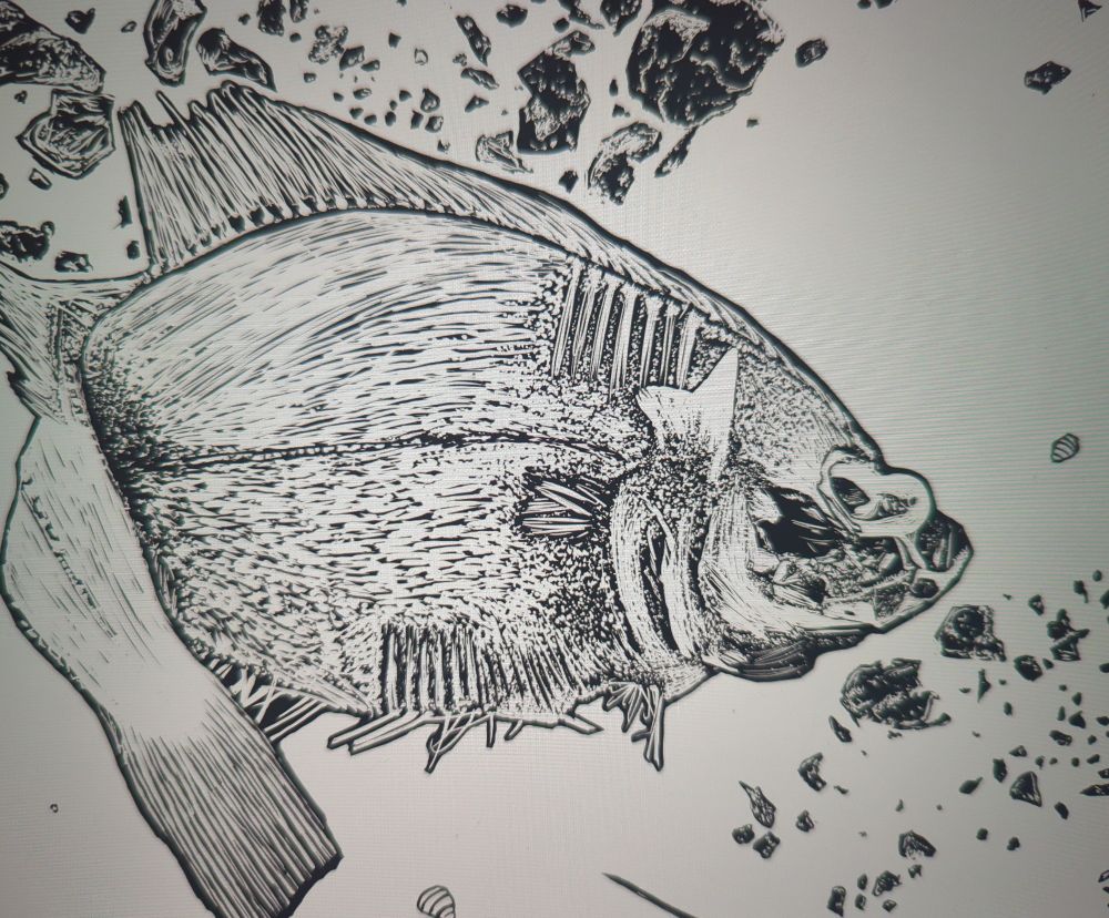 A b&w digital sketch of a dessicated fish surrounded by rocks.