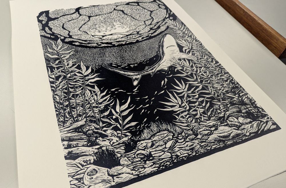 'Ocean Blue'
Lino cut print
Artwork of an underwater scene with a school of fish at the top, a shark in the middle and plants and rocks at the bottom.
This image is from an angle