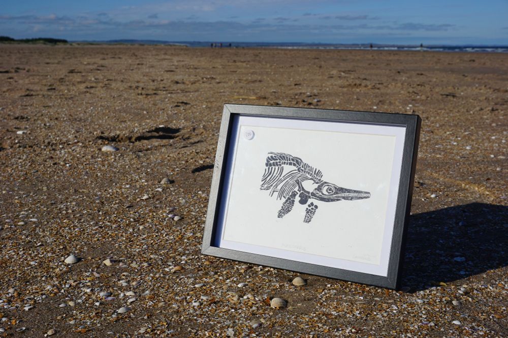 A framed artwork on the beach. The artwork is of the fossil platecarpus