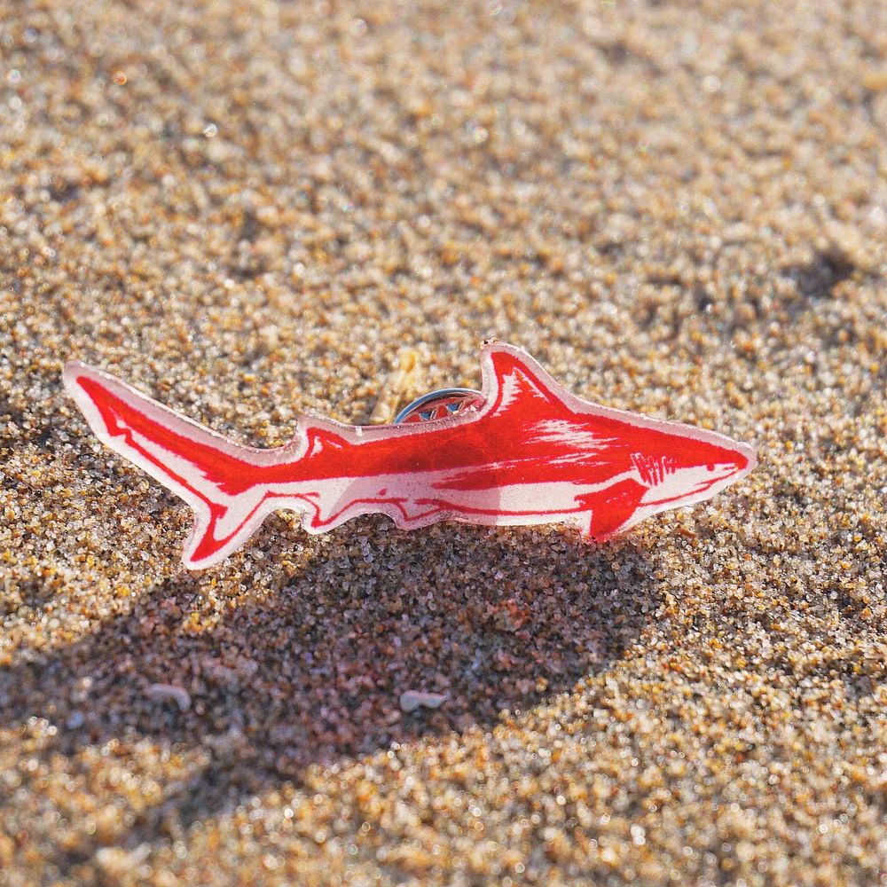 Red shark pin sitting on sand