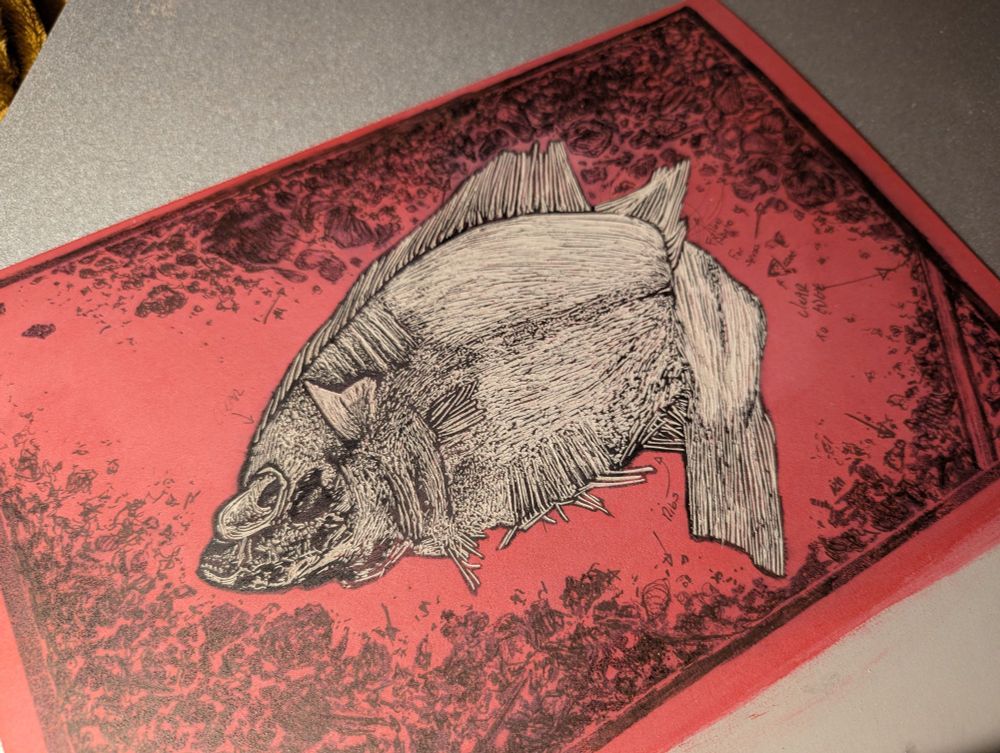 An in progress lino cutting of a fish