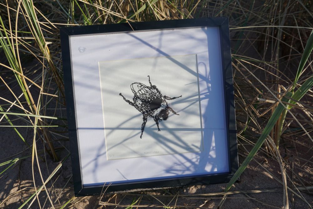 A framed artwork sitting in tall grasses and sand. The artwork is a Lino print of a bee.
