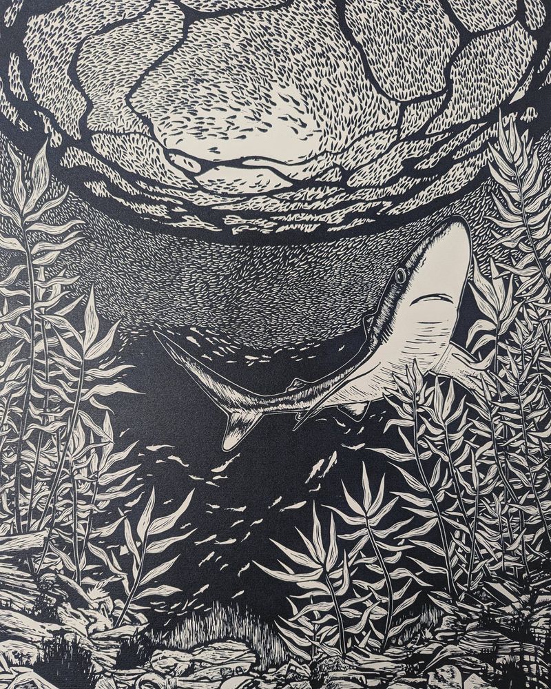 Artwork of an underwater scene featuring a shark, plants and a school of fish in the sunlight. The picture appears to be black and white and was made using lino printmaking methods 