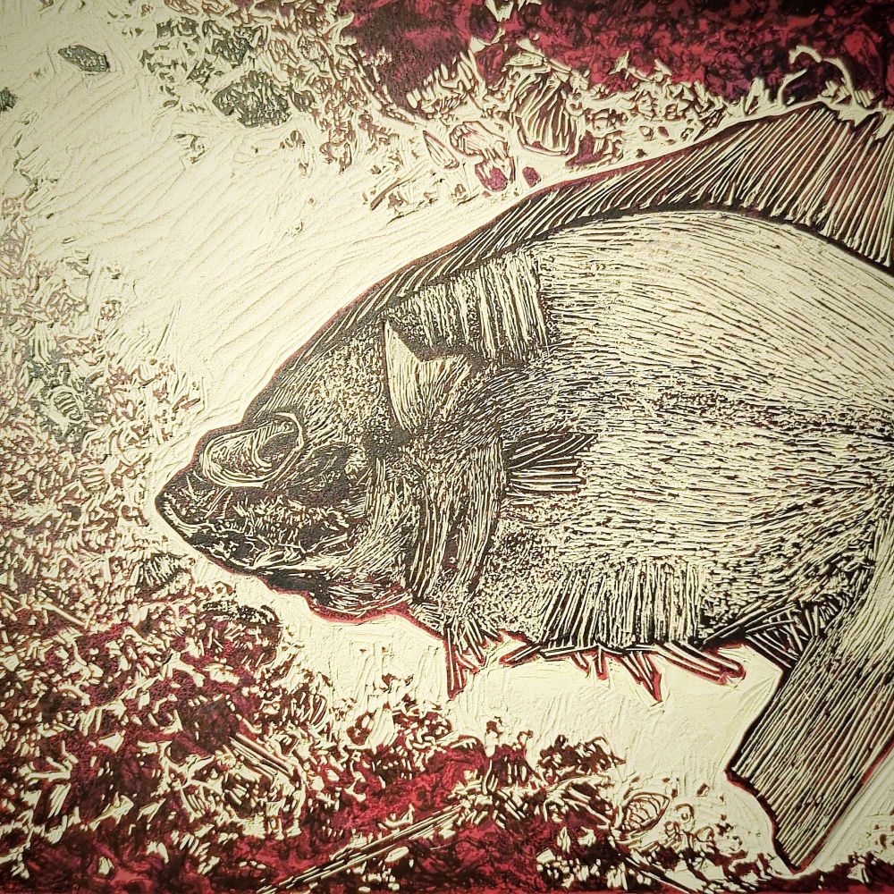 Lino cut of a fish with lots of small details