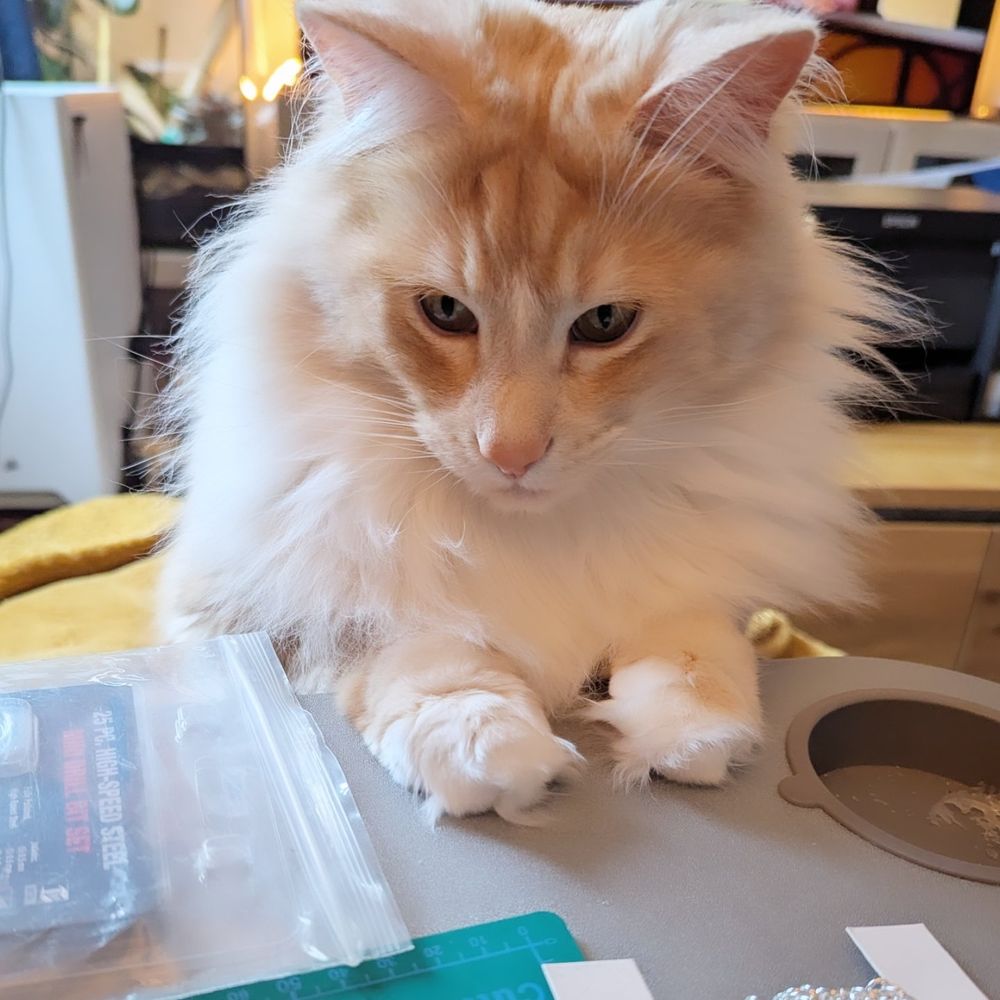 Orion sitting at the table ready to make art