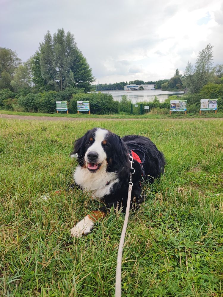 big girl in the grass :)