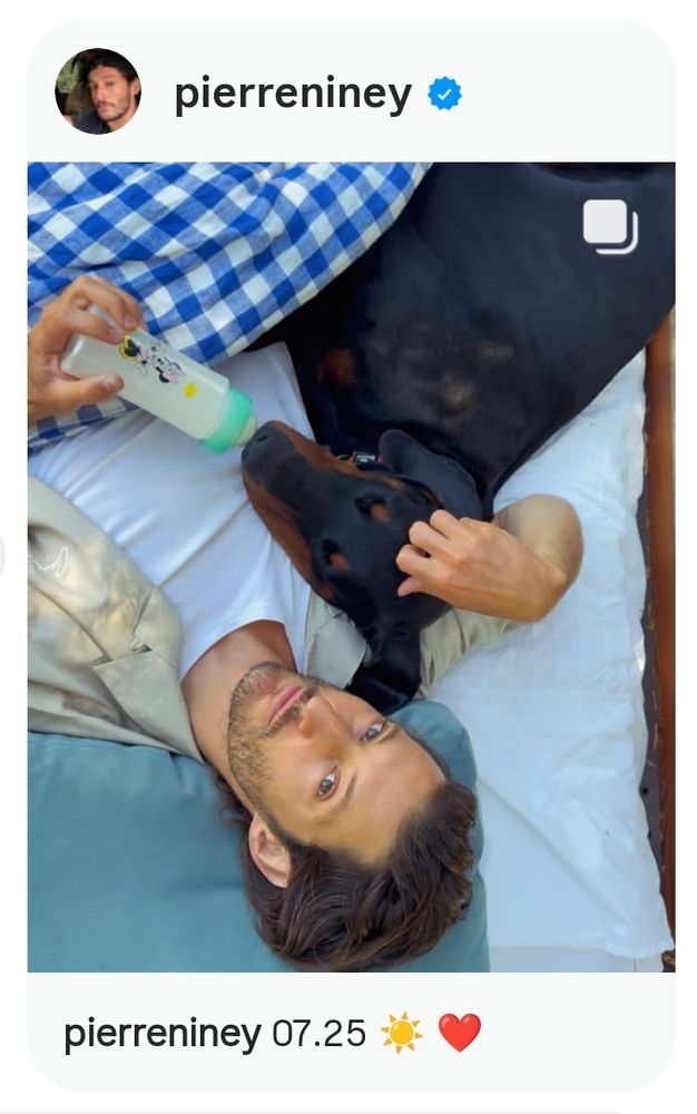 Picture of French actor Pierre Niney cuddling with his doberman dog 