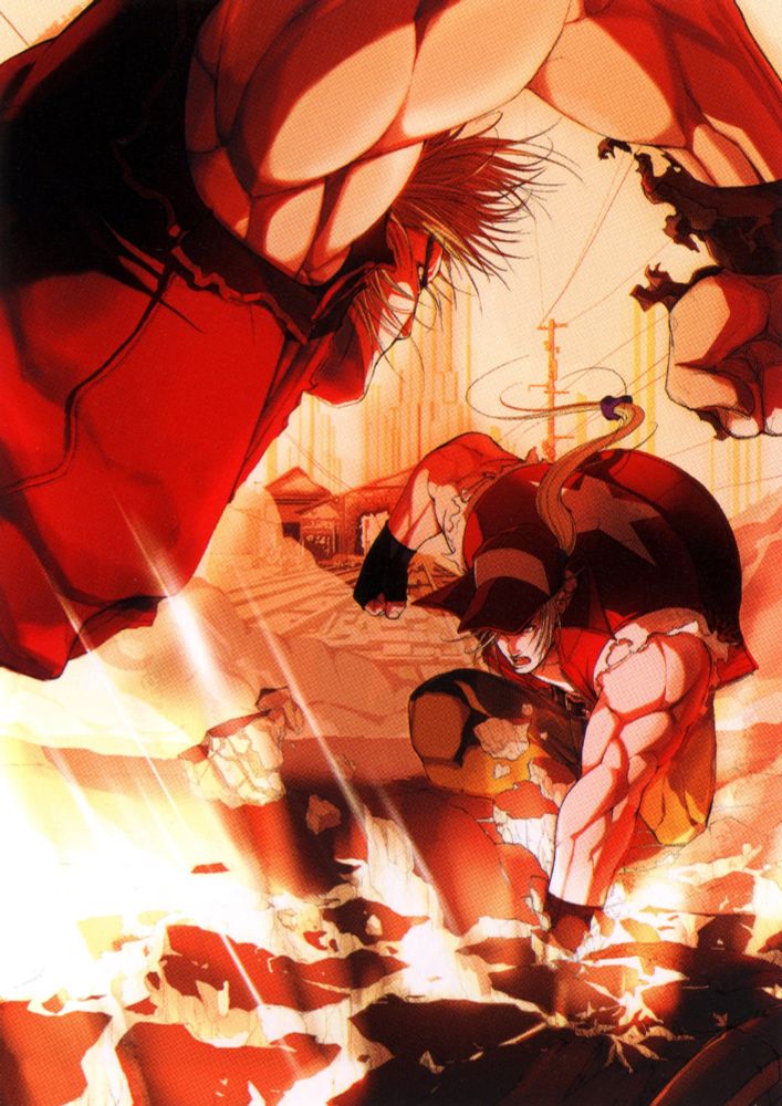 Street Fighter Artworks Ha (Apr. 2, '09), pg. 303