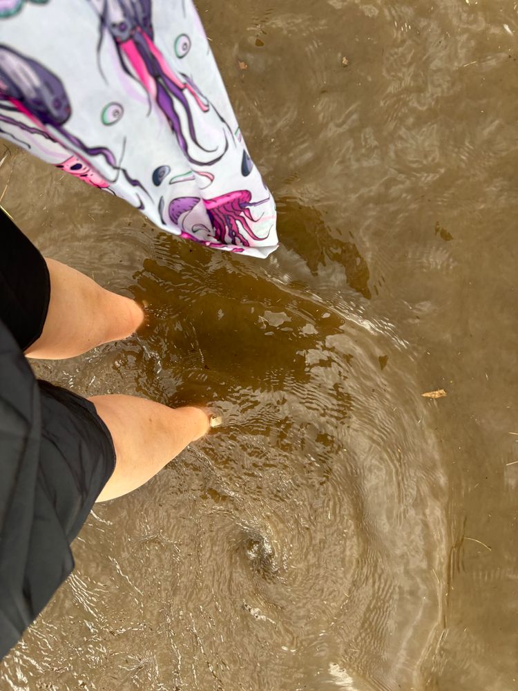 Muddy water halfway to my knees.
