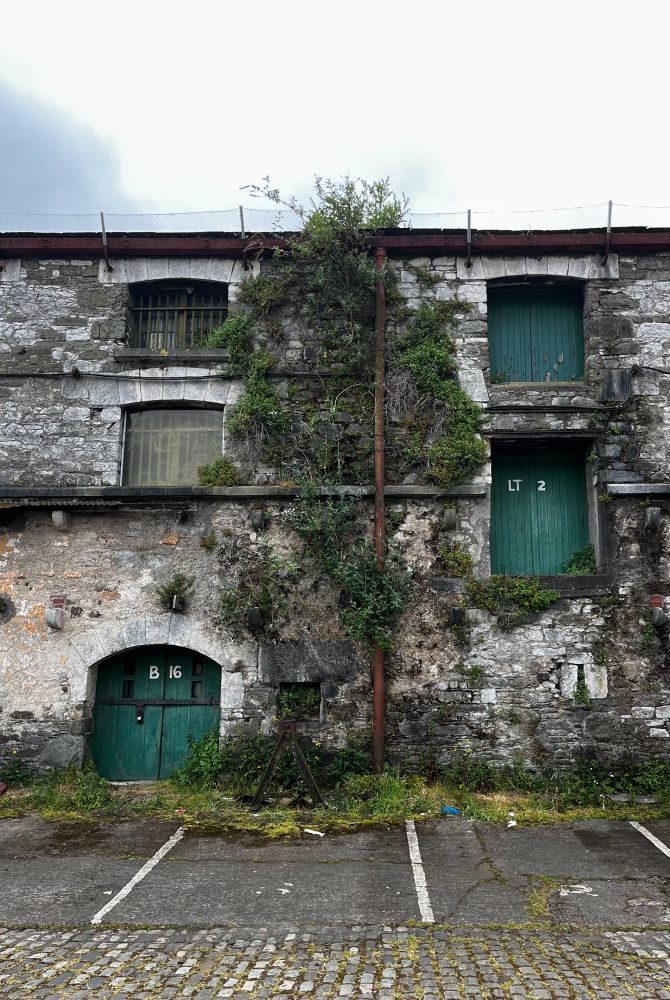 A decaying historic building with shabby doors and trees growing through its plaster.