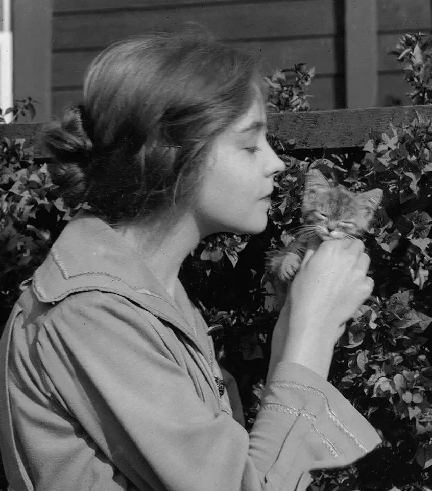 woman holding a tiny little kitten
