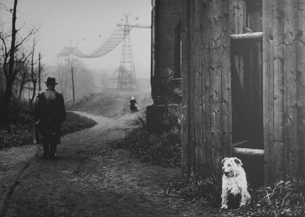 two people walking on a path next to a building and under power lines. a dog sits by the building, its white coat stands out against teh darker tones of the image