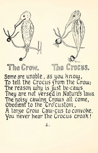 The Crow. The Crocus. Some are unable, as you know, To tell the Crocus from the Crow; The reason why is just be-caws They are not versed in Natures laws. The noisy cawing Crows all come, Obedient to the Crocustom, A large Crout Caw-cus to convoke. You never hear the Crocus croak!