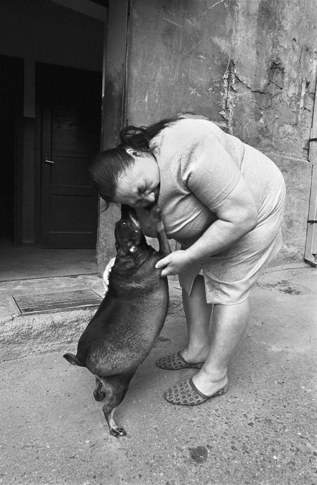 A woman greeting a portly dog
