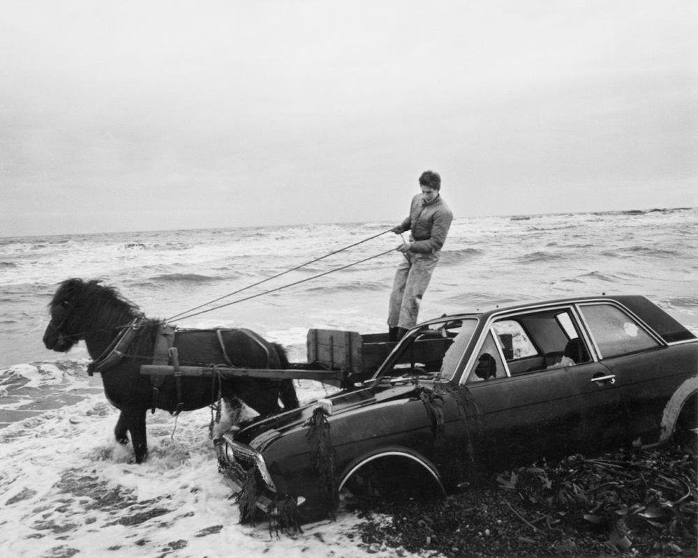 man in the sea with a horse drawn cart, an abandoned car lies  covered in seaweed as the tide comes in