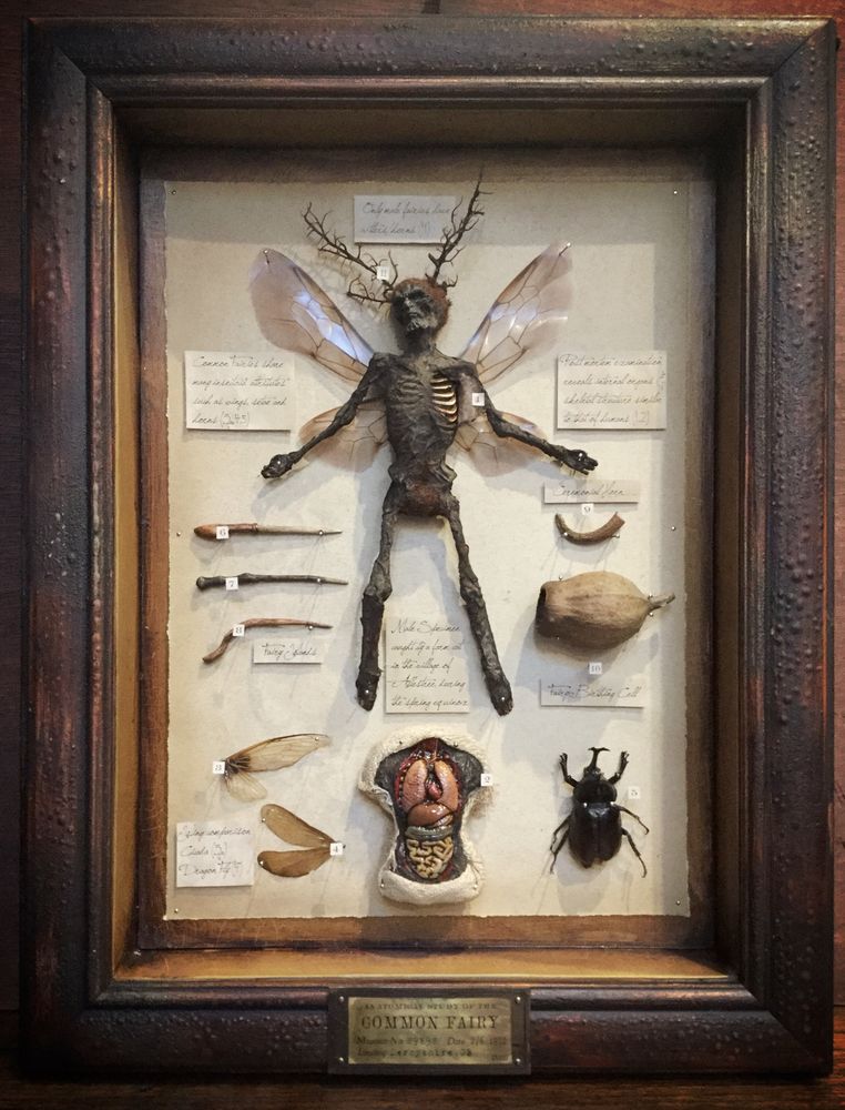 wider shot of fairy model, with anatomical breakdown