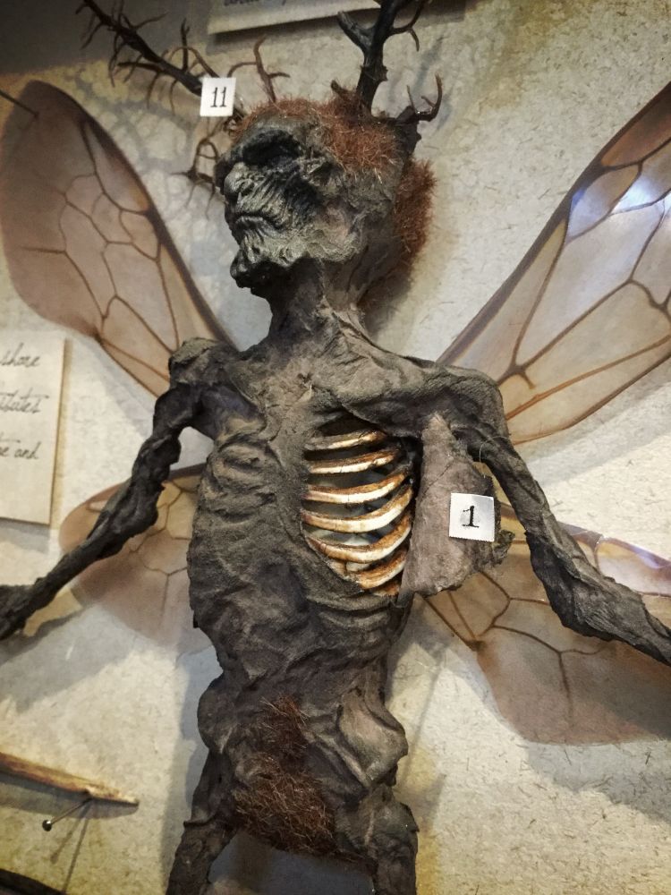 model of a dead fairy