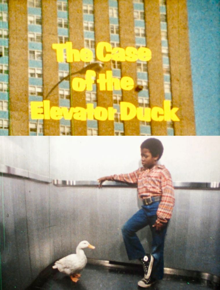 the case of the elevator duck
a duck and a kid in a lift