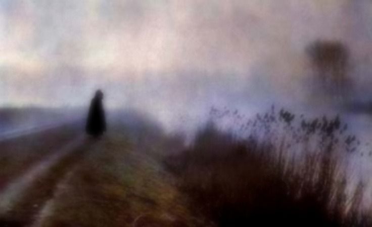 photo
out of focus 
a robed and hooded figure stands on a path overlooking a body of water, reeds are to the right of the frame