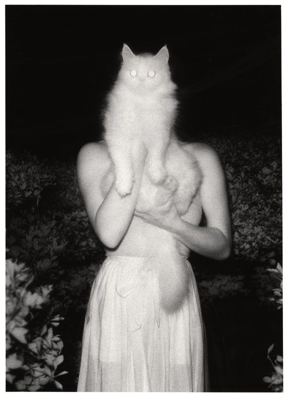 A woman holds a white cat in front of her face, her bare shoulders visible, set against a dark, leafy background.