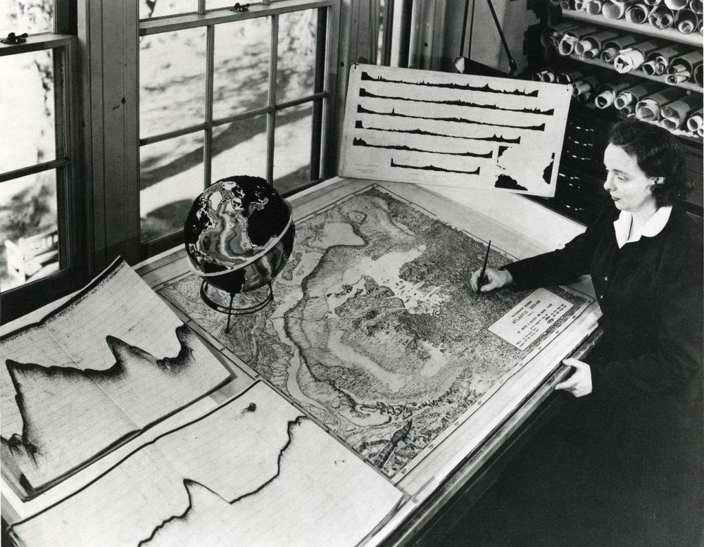 person working on a large map