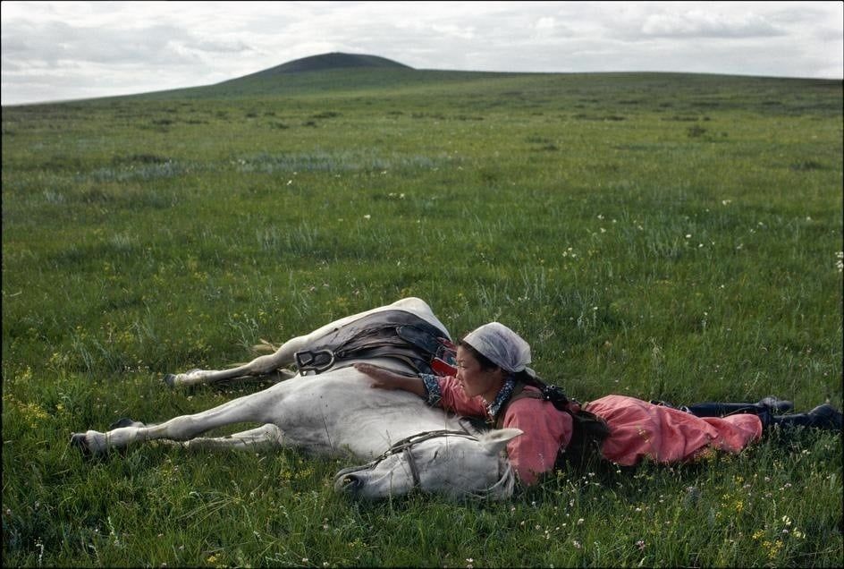 photo
a grassy area. a horse lying down and a person lying with the horse