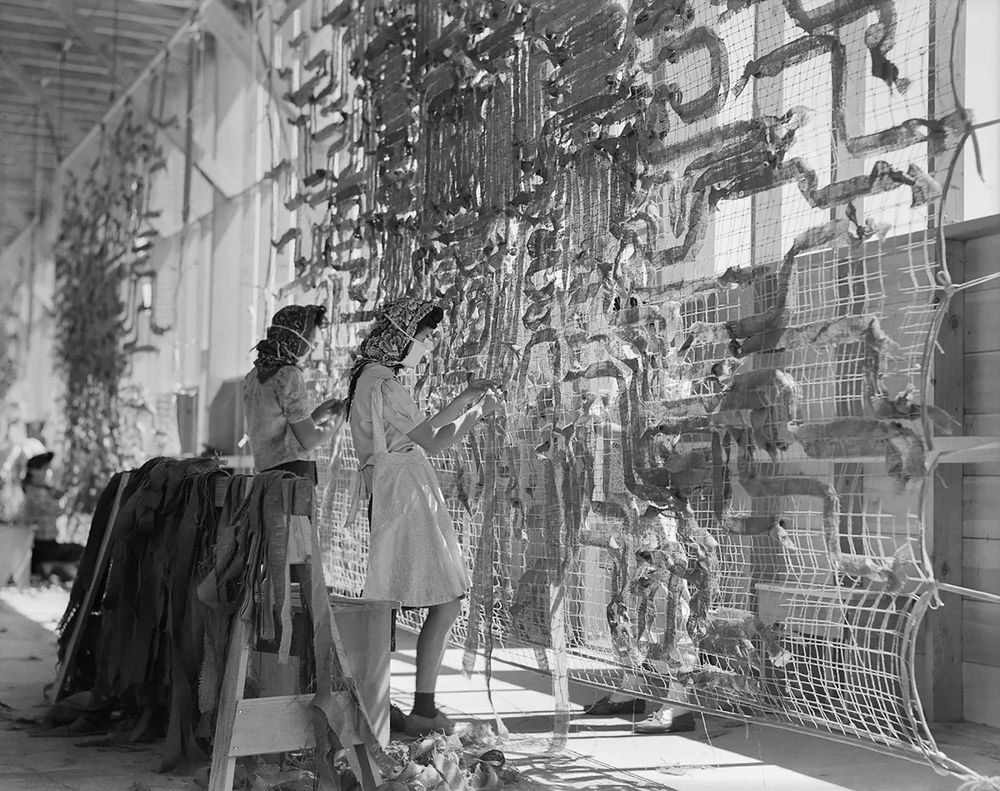 a photo of some women making large camoflage nets