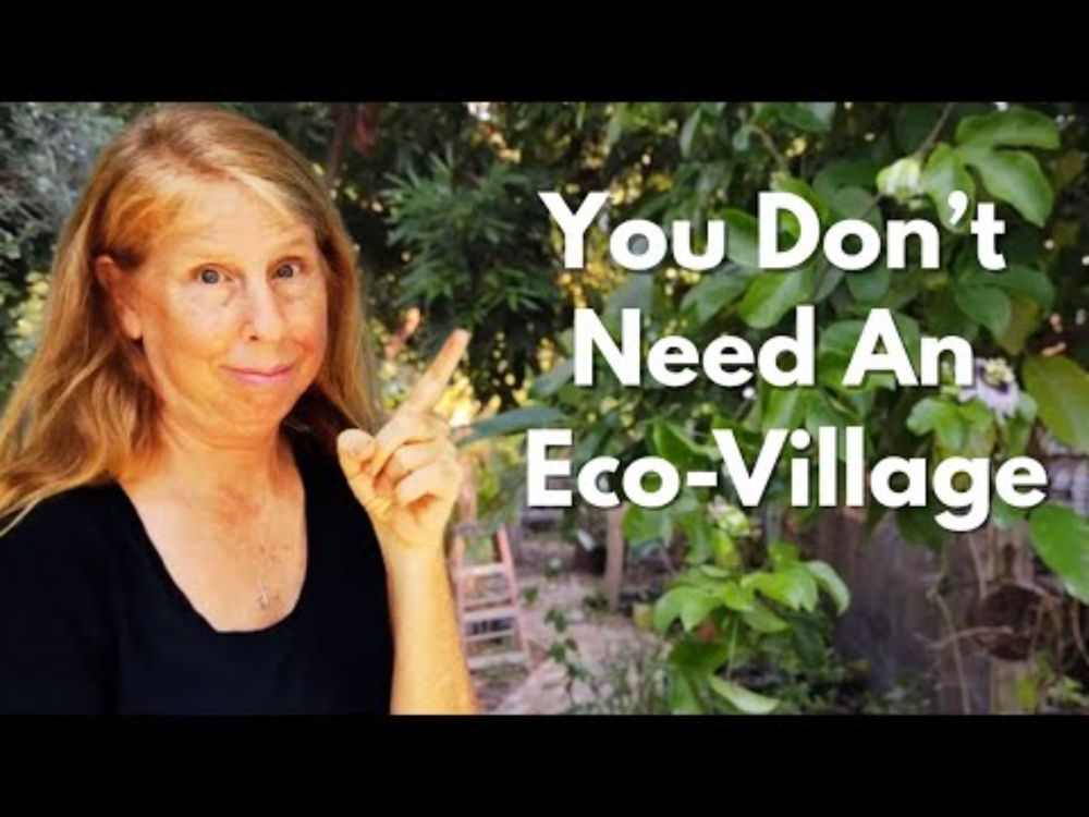 How to Build Community & Grow Your Social Capital in a Disconnected World