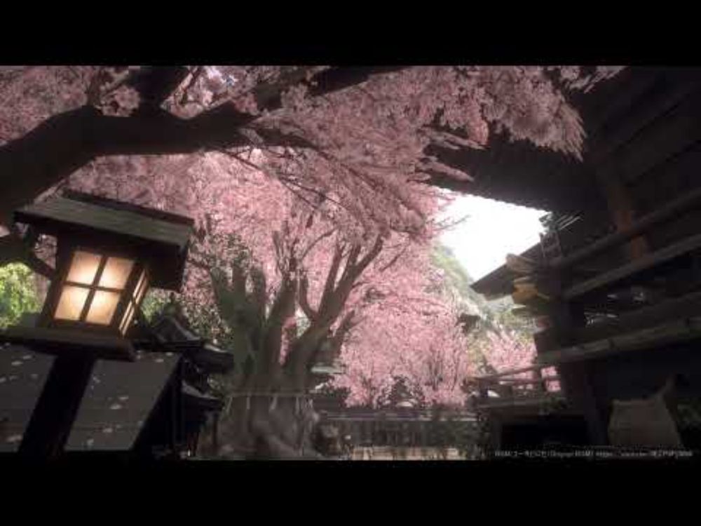 [VRChat]Japan Shrine [spring] - After the Rain PV