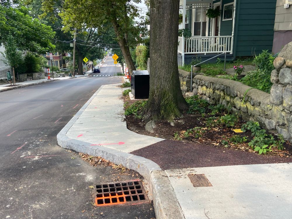 New tree bump out on School Street.