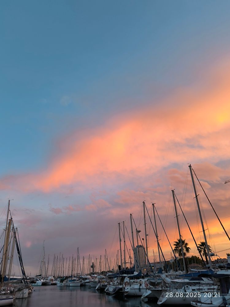 Foto eines Yachthafens im Sonnenuntergang 